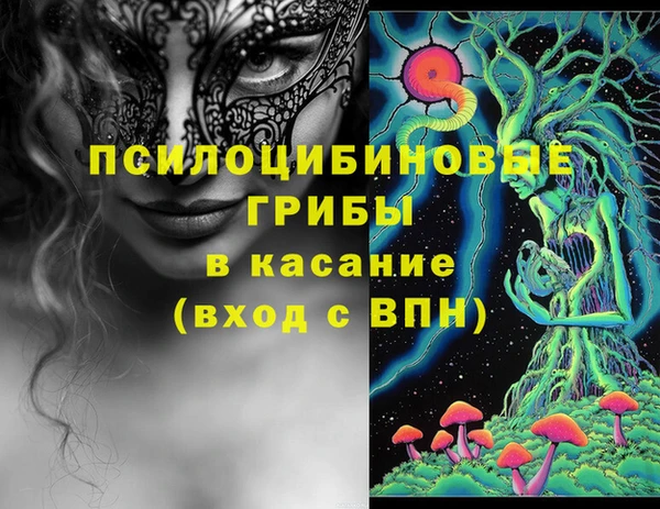 стаф Арсеньев