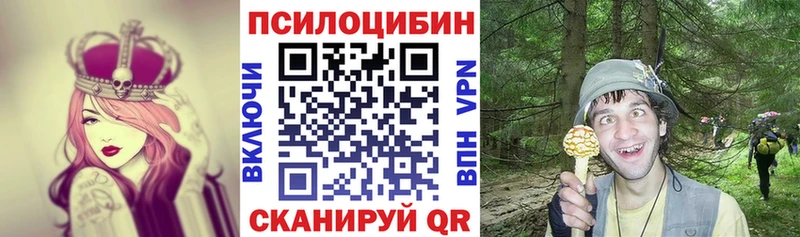 Псилоцибиновые грибы Psilocybe Могоча
